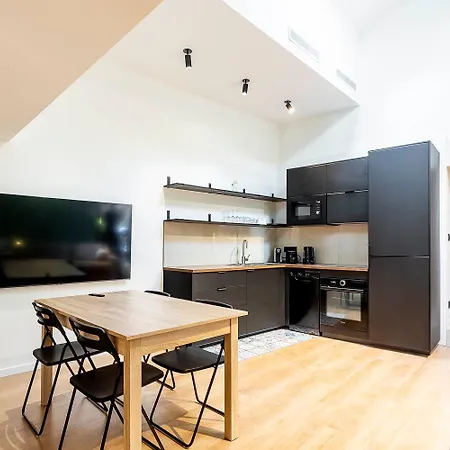 Loft Spacieux Pour 10 Personnes Avec Terrasse *